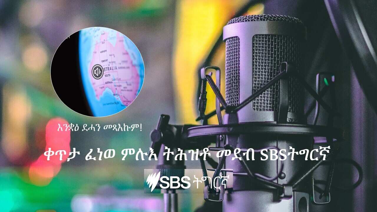 Live podcast SBS Tigrinya
