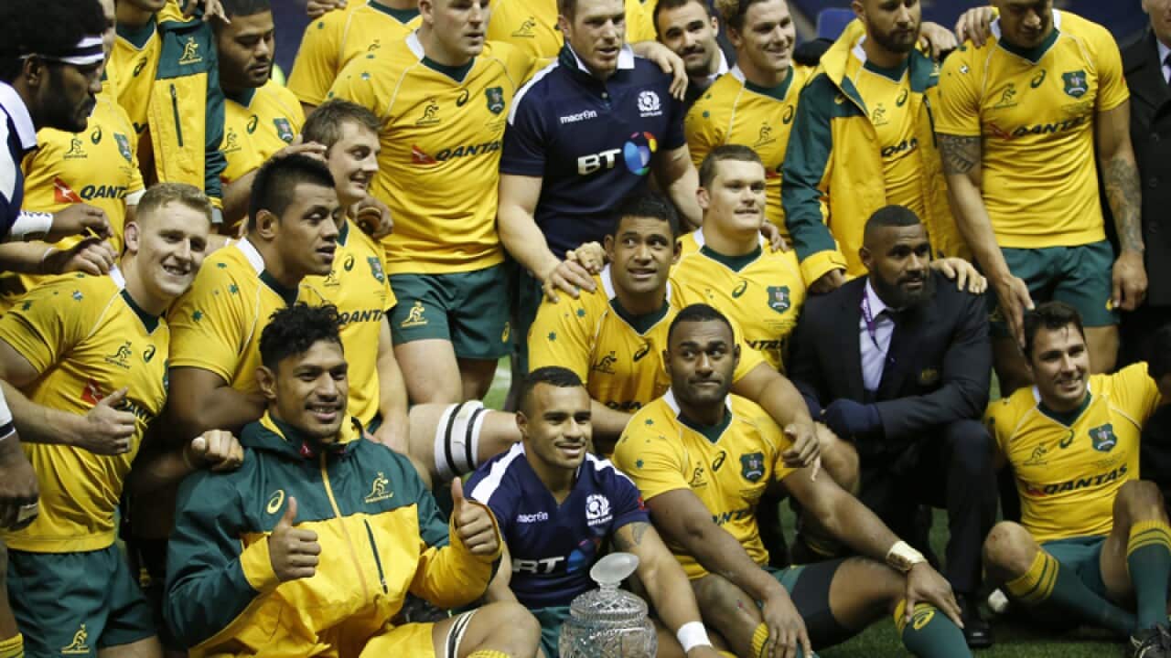 Australia's Wallabies