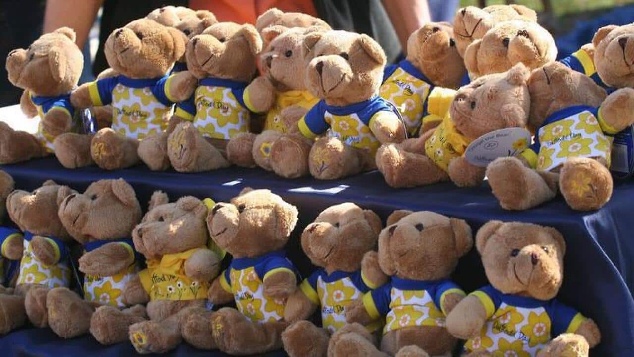 daffodil day, cancer