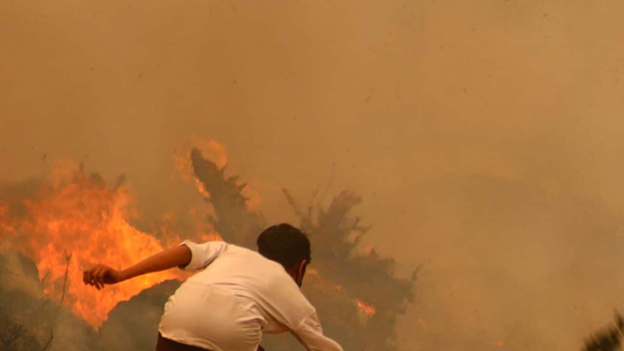 Nepal Wildfires