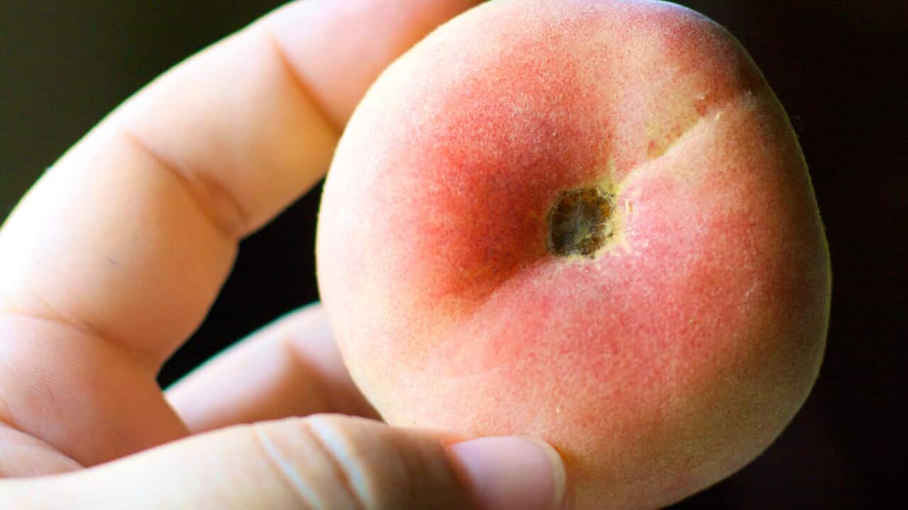 Long before the eggplant emoji, art has used food in suggestive ways