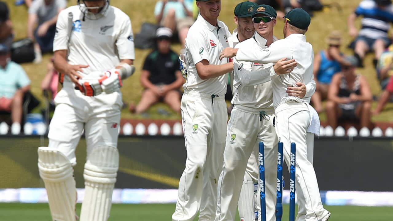 Australian cricketers celebrate after winning the first Test
