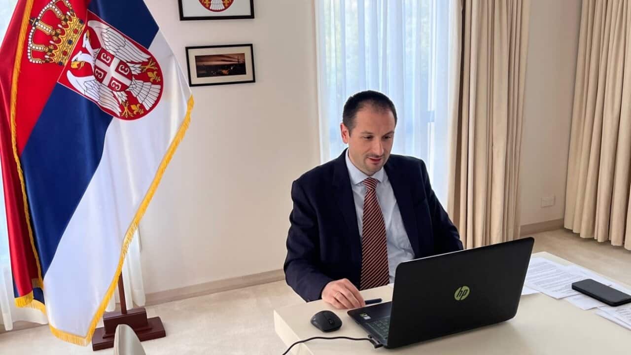 ambassador stefanovic.jpeg