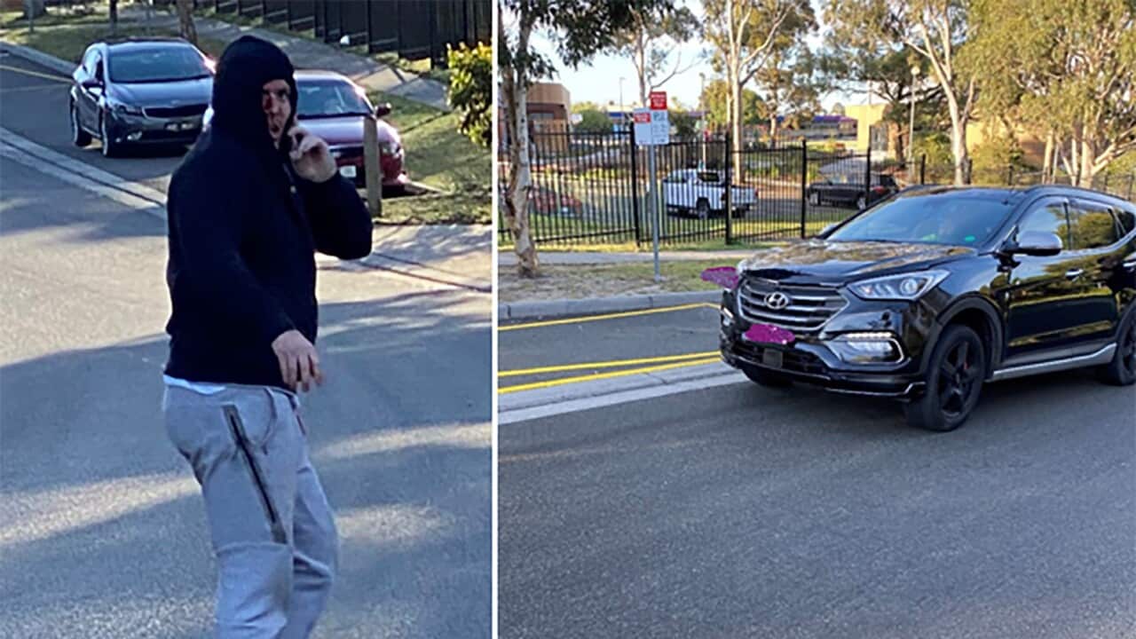 Image for read more article ''