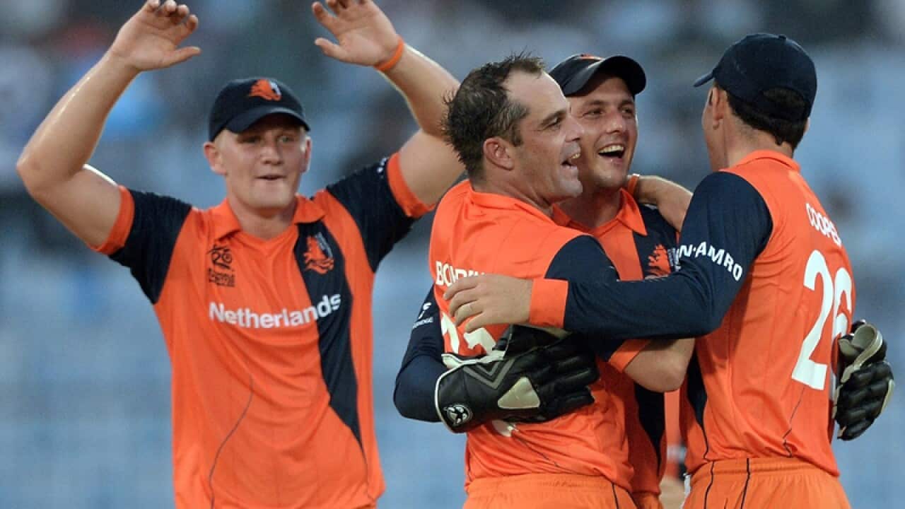 Dutch players celebrate after taking a wicket