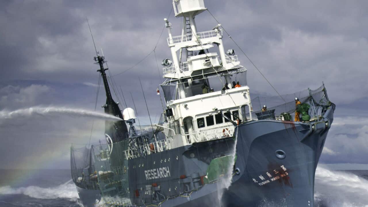 Japanese whaling vessel Yushin Maru No.3