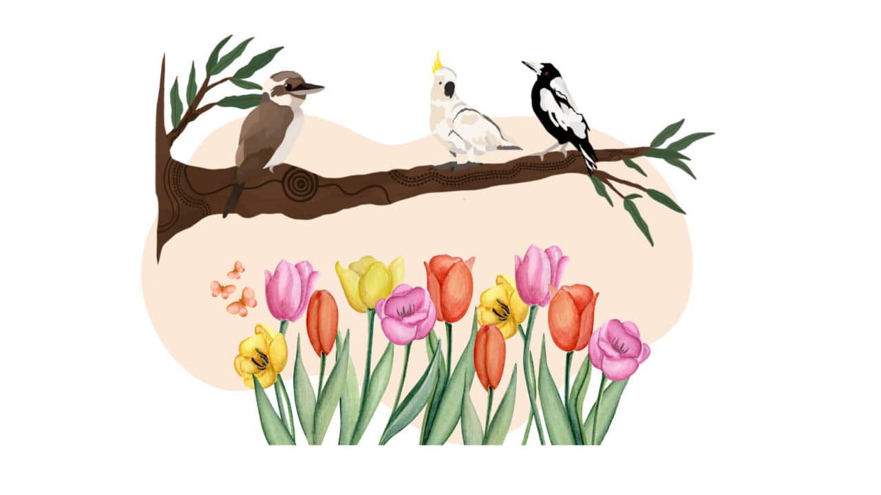 spring