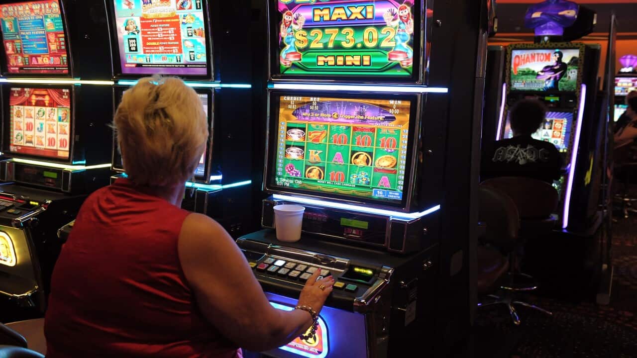 GAMBLING STOCK