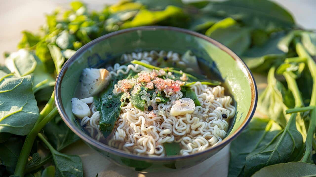 A vibrant green pottery bowl wiht a brown rim holds soup and noodles. The bowl is nestled among green leaves.