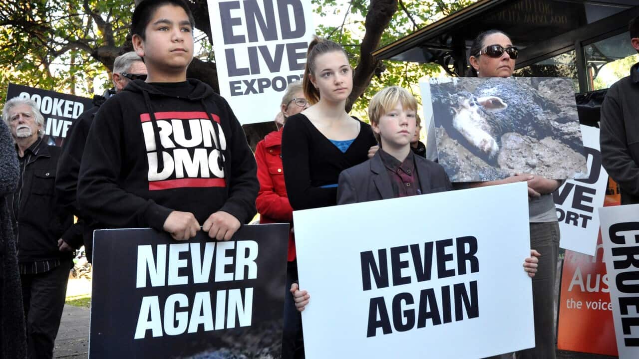 Animal welfare activists in Perth