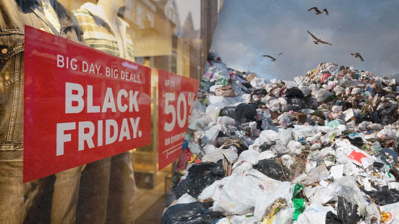 Black Friday 2022 How do sales impact the environment? SBS News
