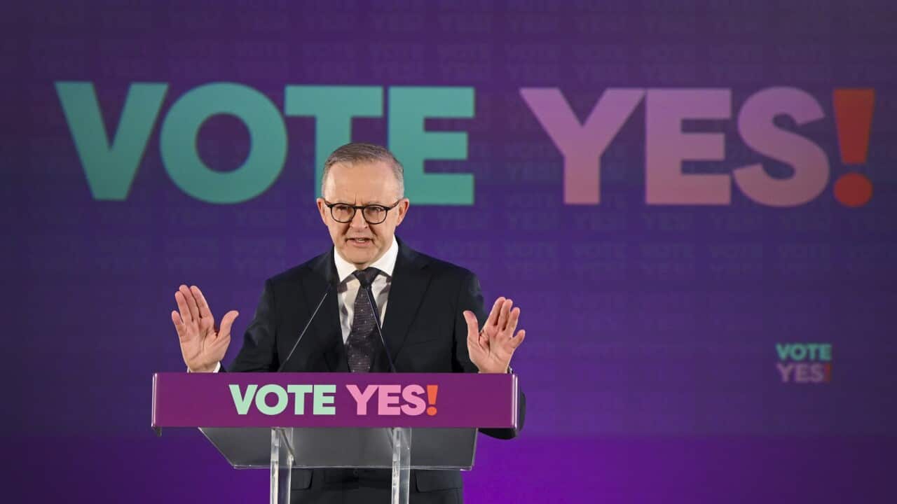 ANTHONY ALBANESE VOICE REFERENDUM ANNOUNCEMENT