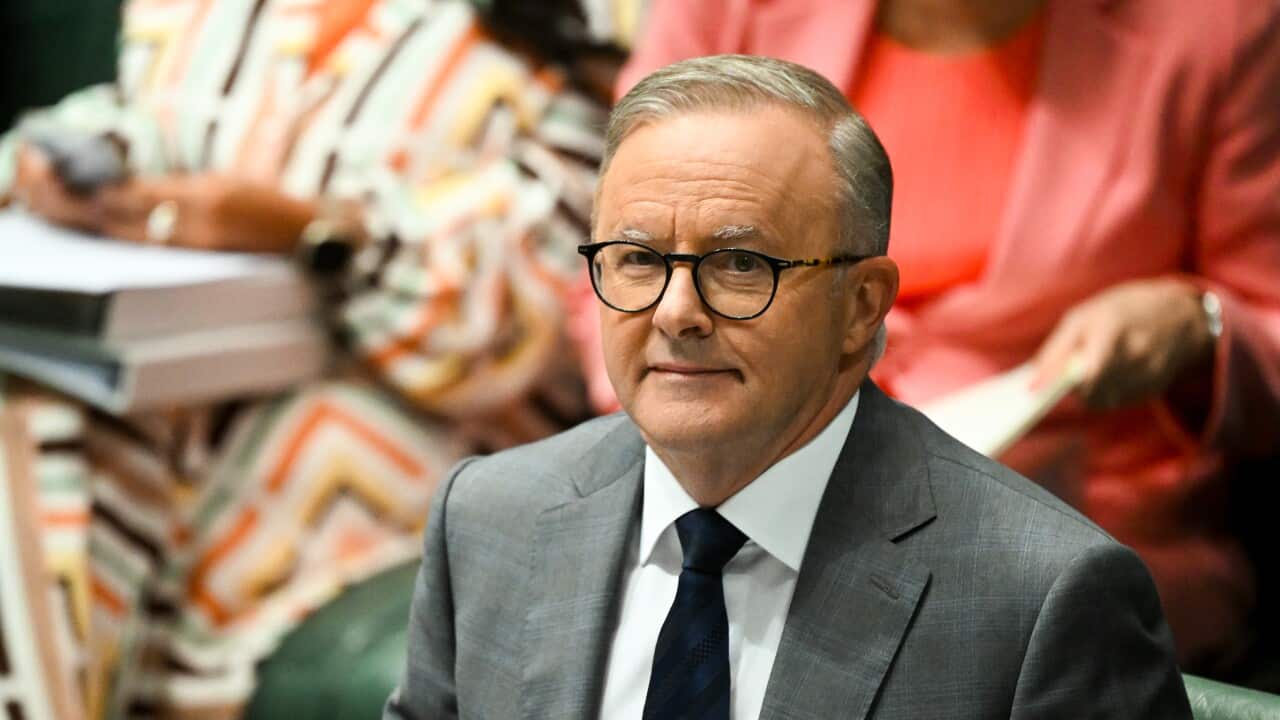 Prime Minister Anthony Albanese