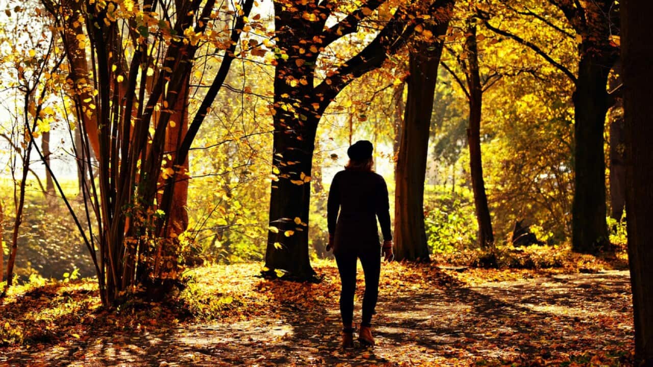 Walking is a popular type of physical activity in rehabilitation but may not be helpful in certain dysfunctions