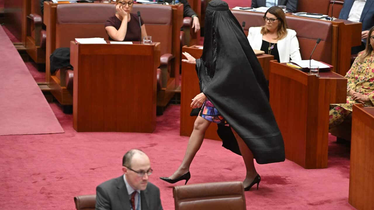 PAULINE HANSON BURQA SENATE