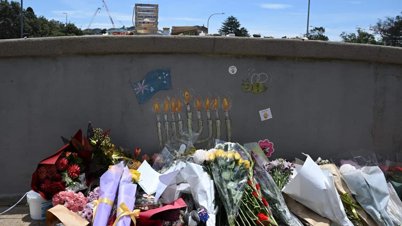 BONDI BEACH SHOOTING