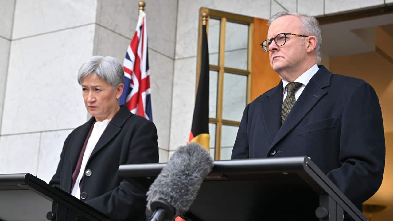 ANTHONY ALBANESE PRESSER