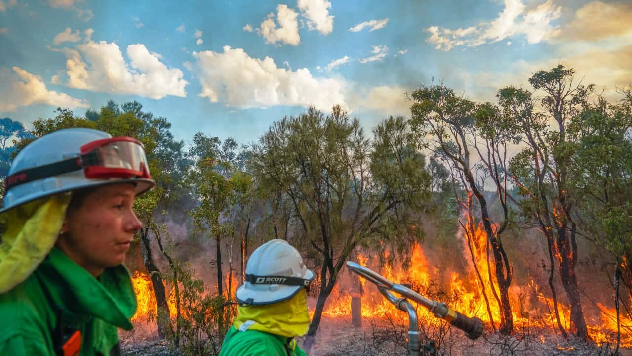 Firefighters battling the Calgardup Bushfire burning in Margaret River, south of Perth in Western Australia, Thursday, 9 December, 2021. 