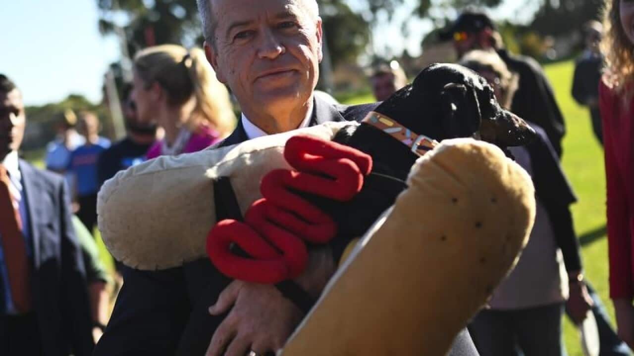 Bill Shorten holds the "democracy" sausage dog in Adelaide.