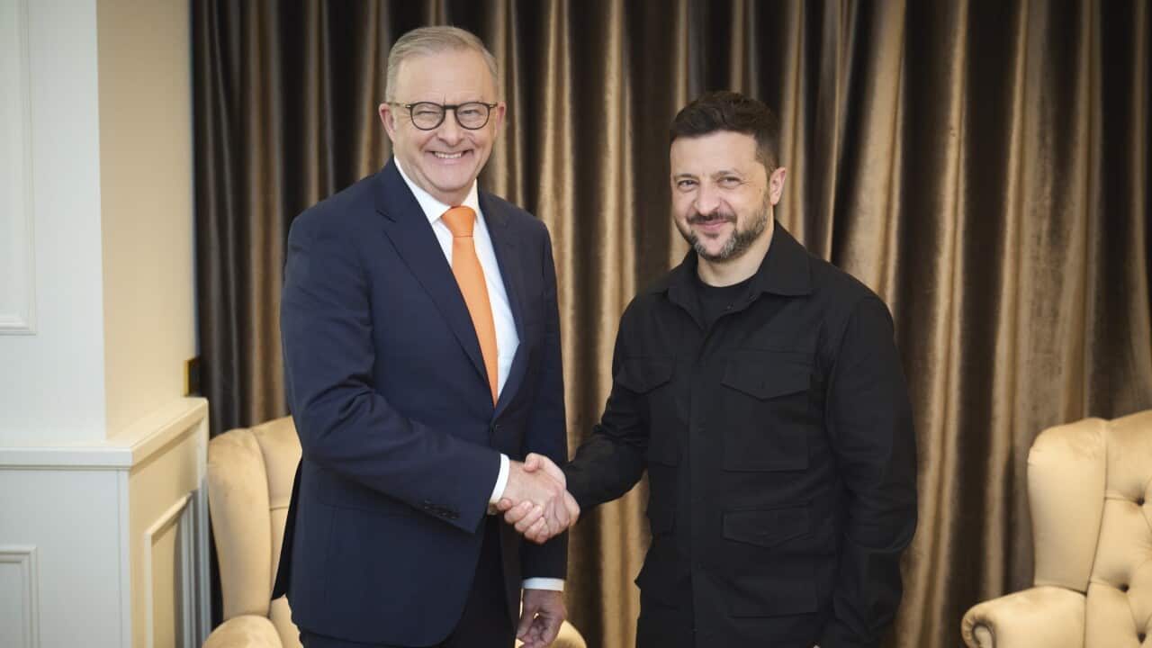 Ukraine's President Zelenskiy, Australian Prime Minister Albanese smile and shake hands