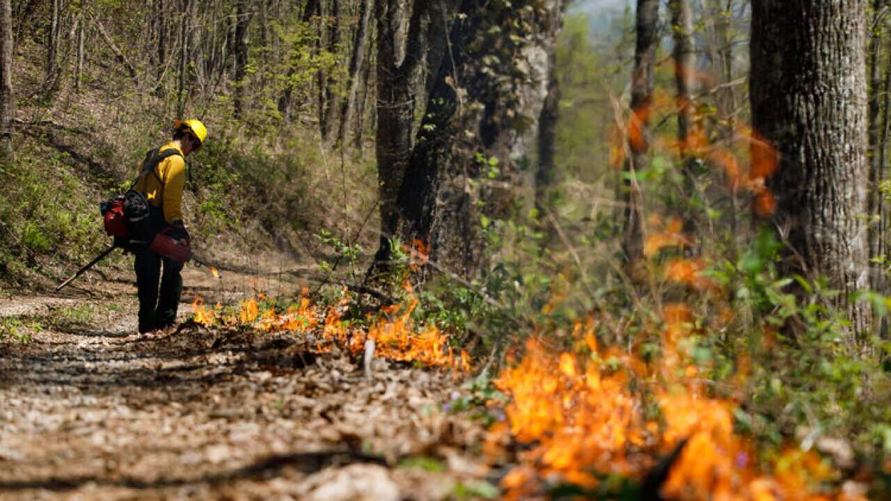 A Forecast for a Warming World: Learn to Live With Fire