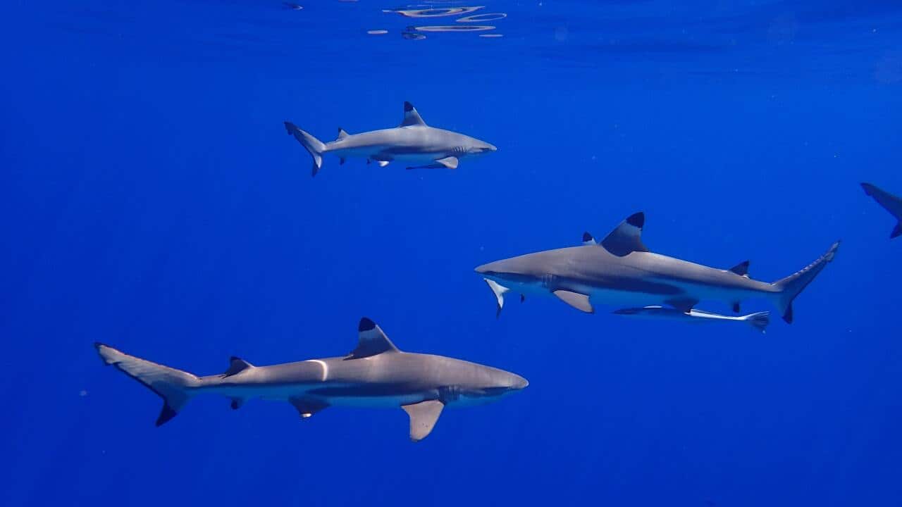 Unsplash: Thomas Borb