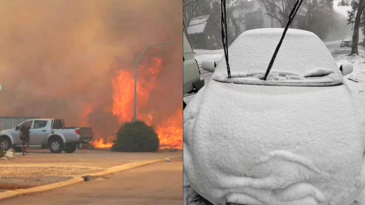 Bushfires and searing heat in the west, while record low temperatures and a sprinkling of snow ring in summer in Australia's south-east..png