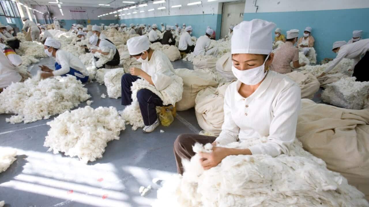 Image for read more article 'READ MORE'