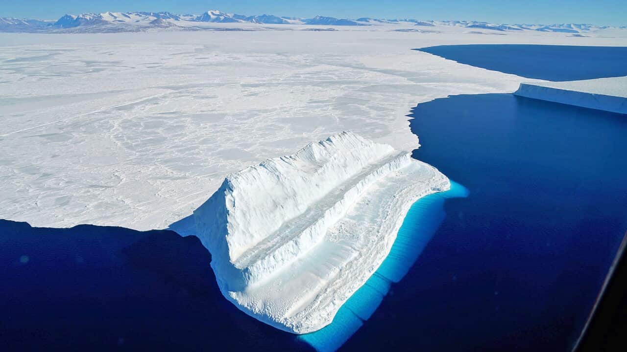 The frigid Antarctic region is an expanse of white ice and blue waters