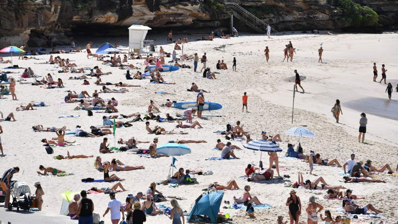 Australian Summer: How to identify the safest beaches in Australia