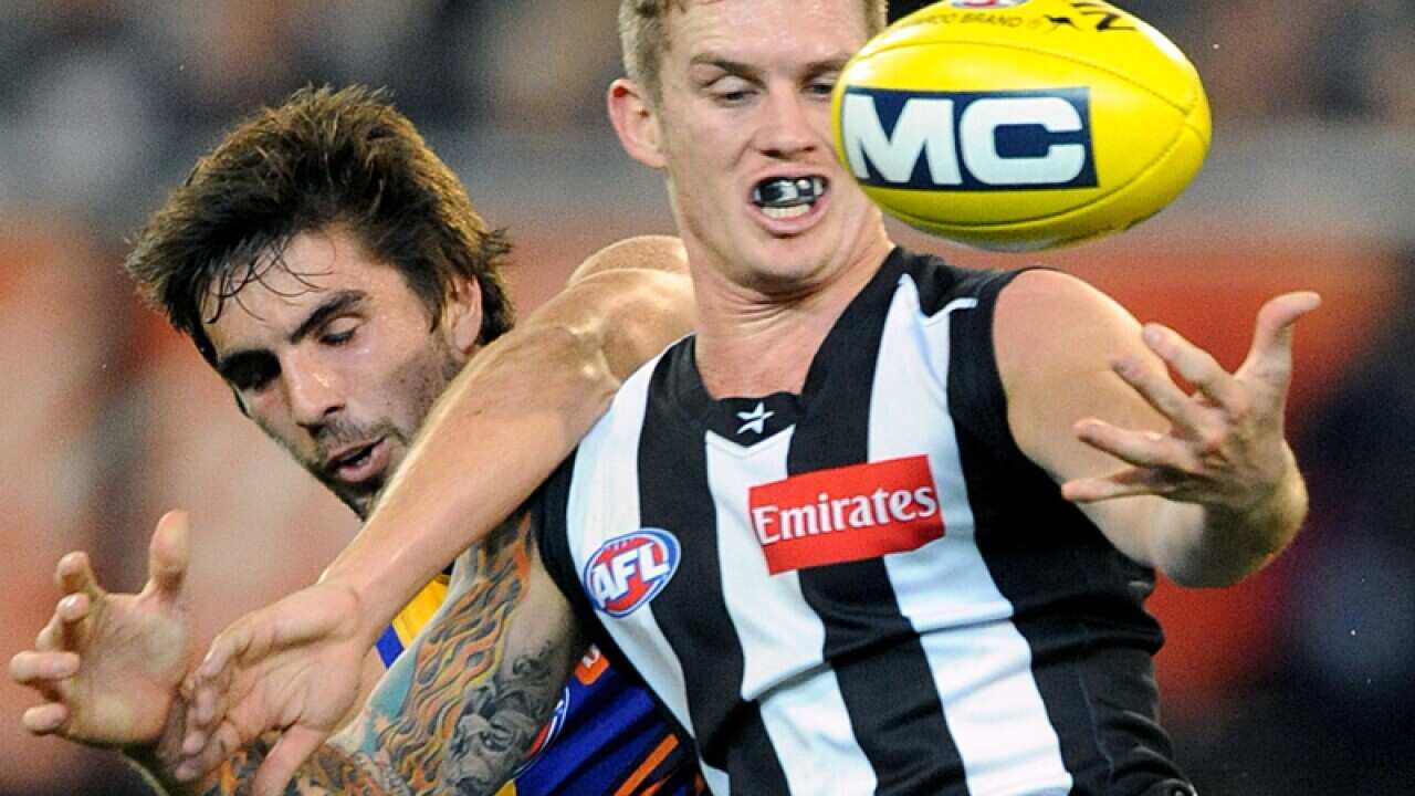 Collingwood AFL player Dayne Beams
