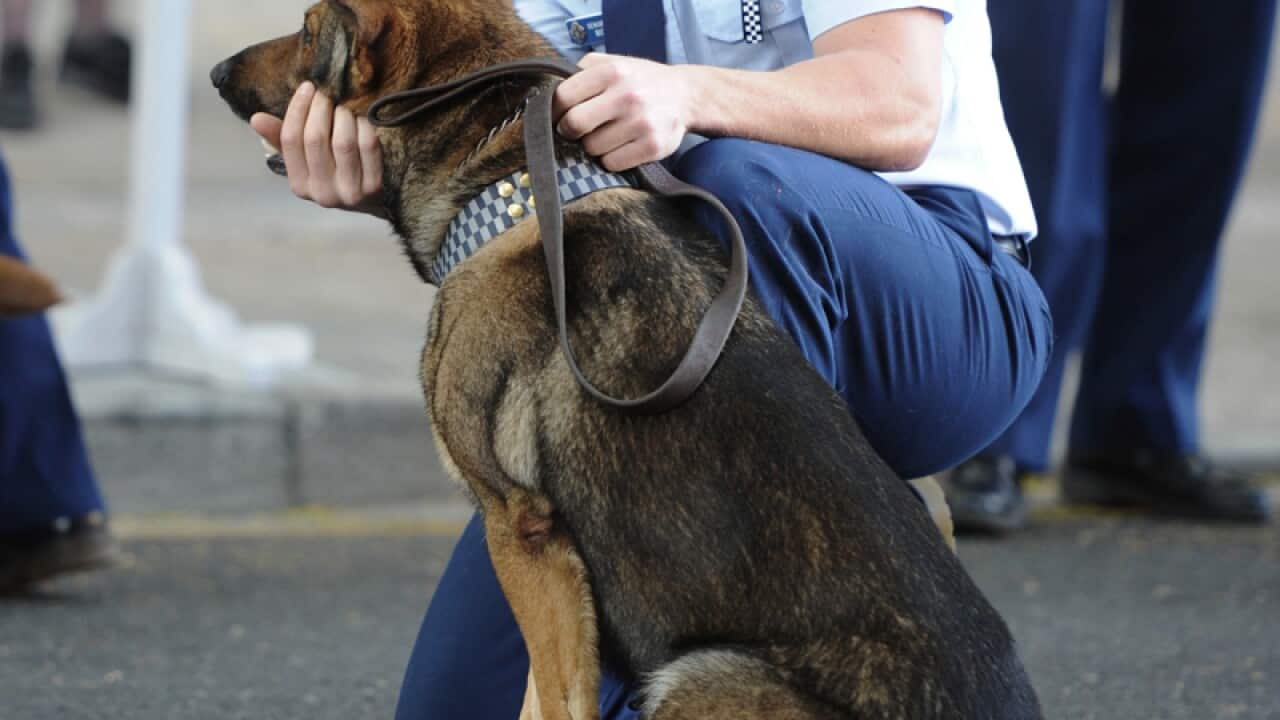A police officer pats his dog