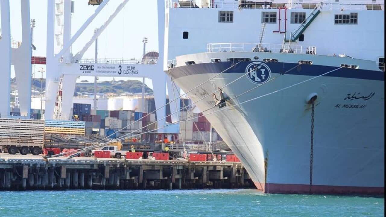 Loading of livestock onto an Emanuel Exports ship