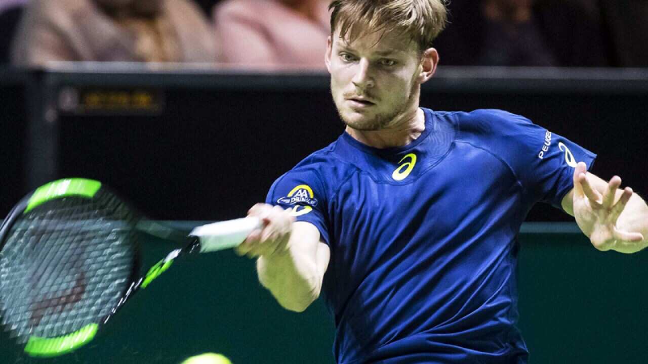 David Goffin of Belgium
