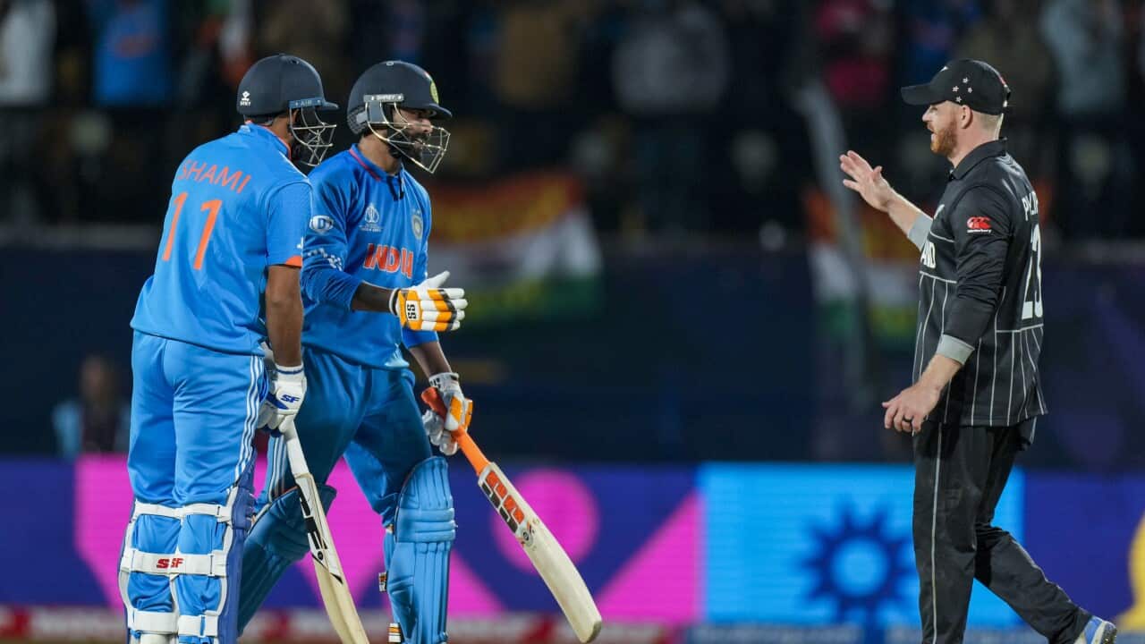 India Cricket WCup
