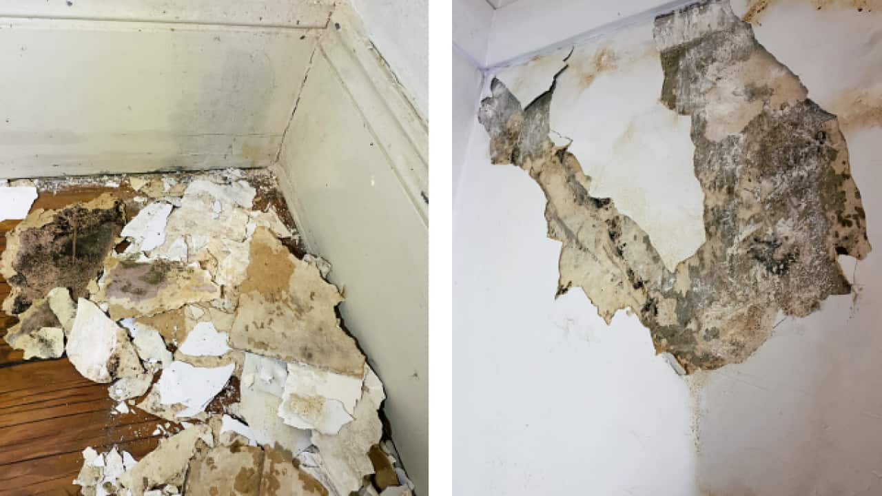 The corner of a room with water damage making the paint crumble. Black mould is beneath.
