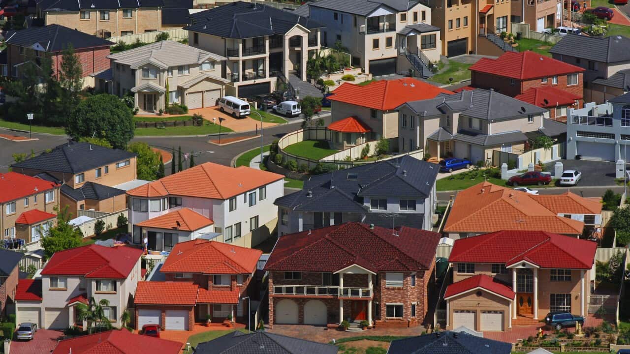 Cecil Hills, Western Sydney, Aerial Photography