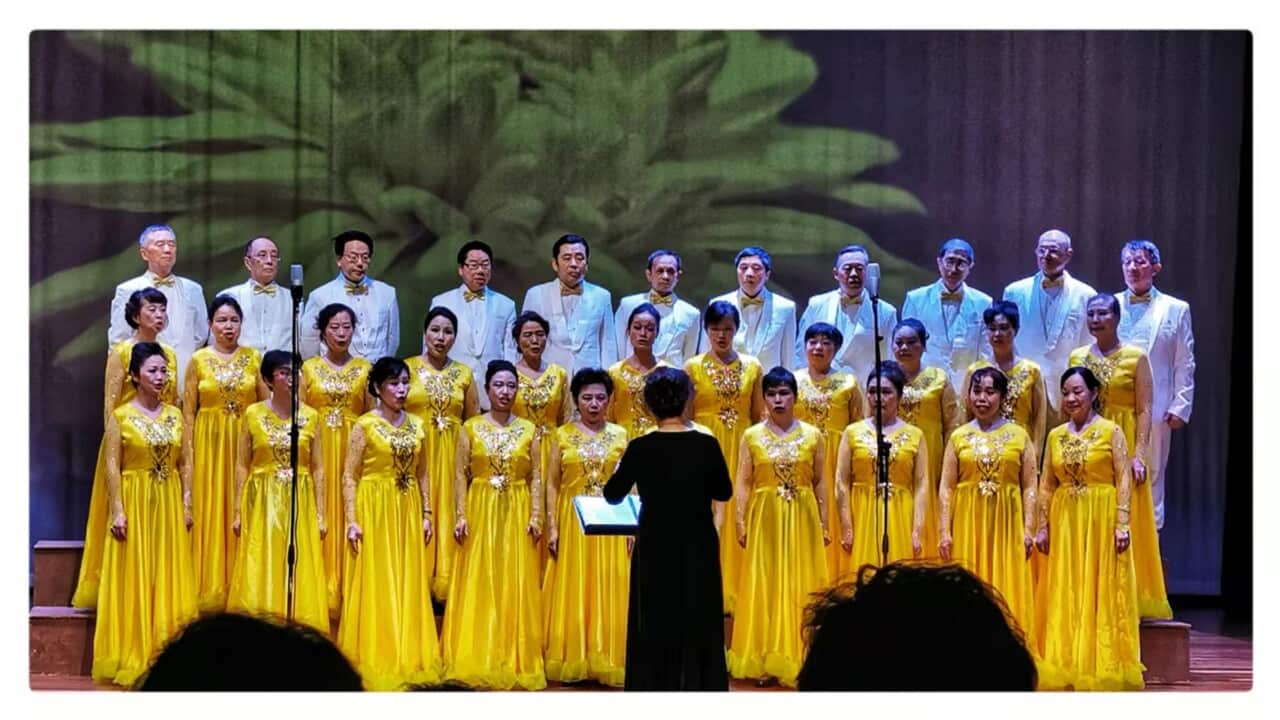 Image for read more article ''