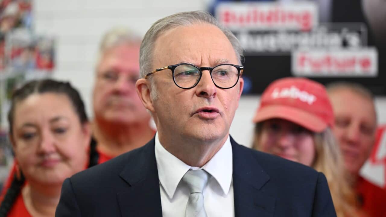 ELECTION25 ANTHONY ALBANESE CAMPAIGN