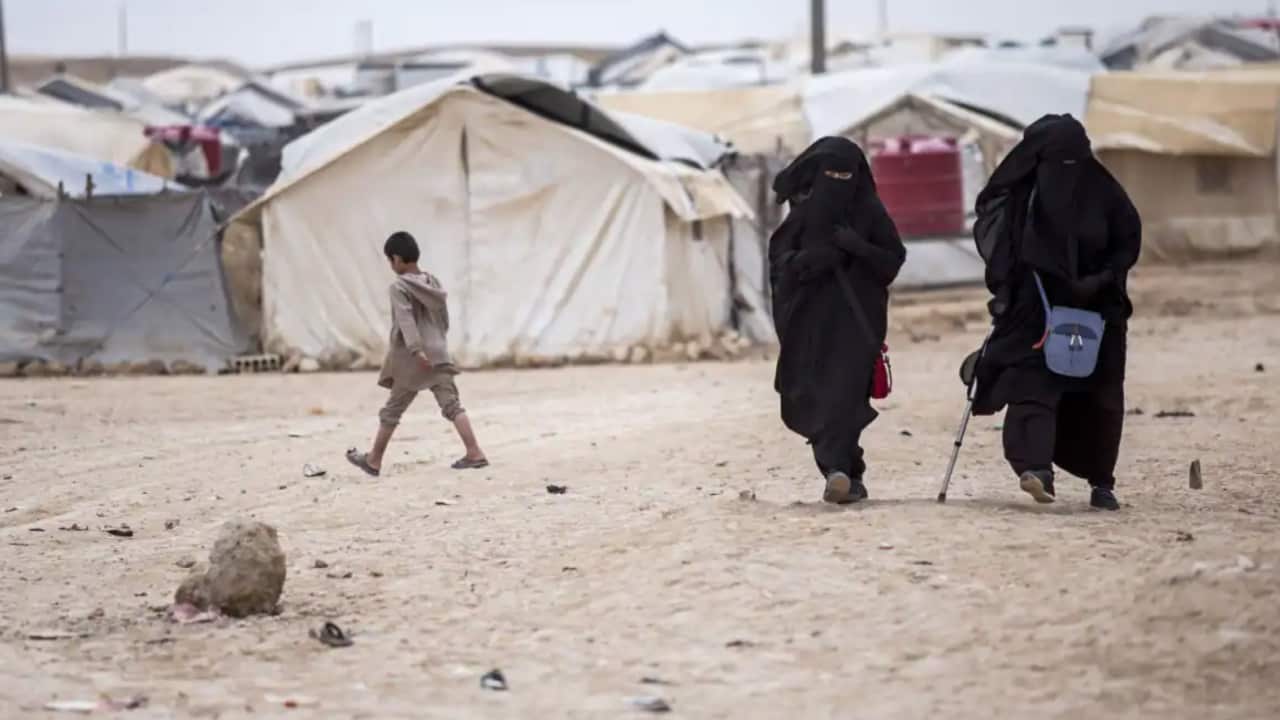 Image for read more article '阅读更多'