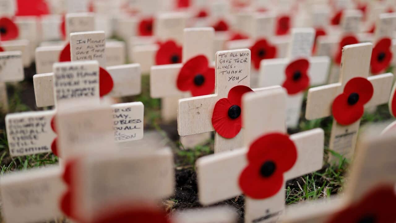 Remembrance day