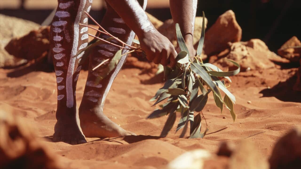 Ritual Medicine Dance