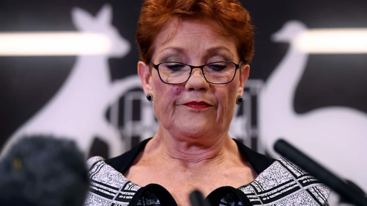 Hanson joins job-seeker welfare rise calls