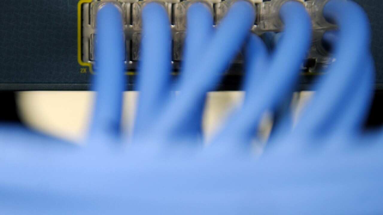 Ethernet cables are seen in a server room in Canberra