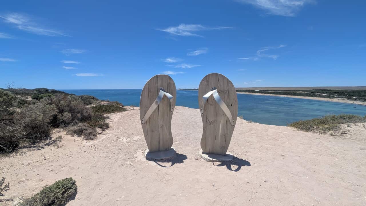 giant thongs in South Australia