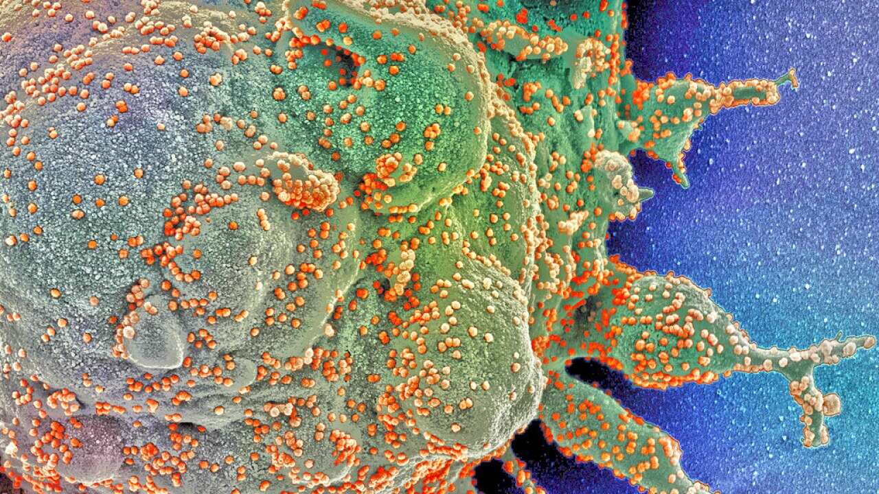 Image for read more article ''