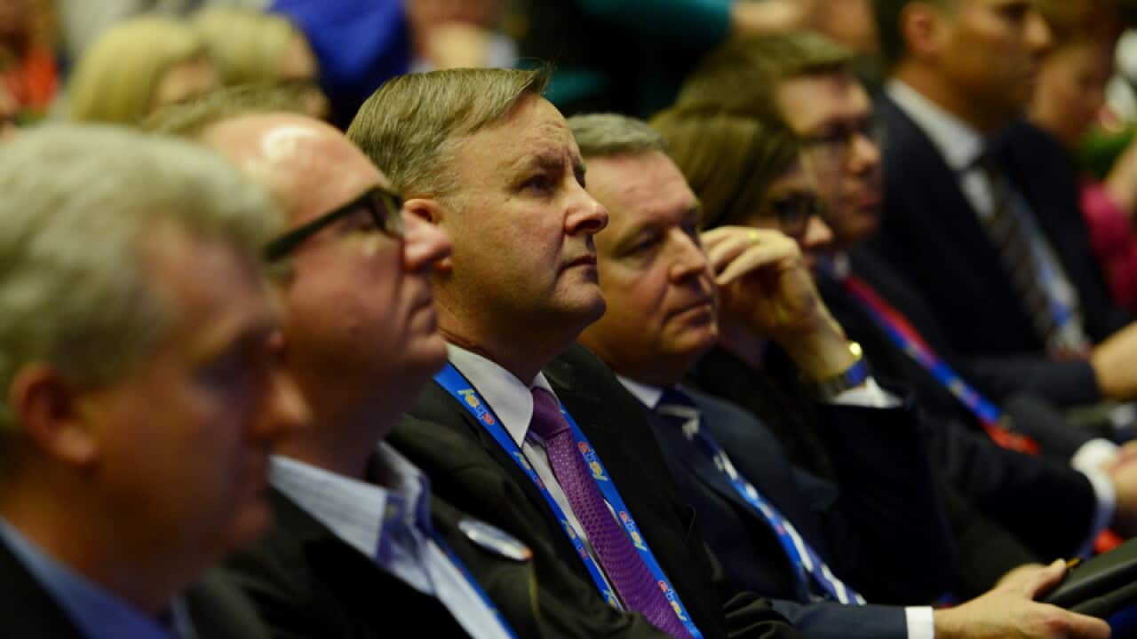Shadow minister for infrastructure Anthony Albanese