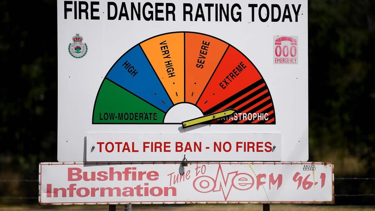 BUSHFIRES NSW