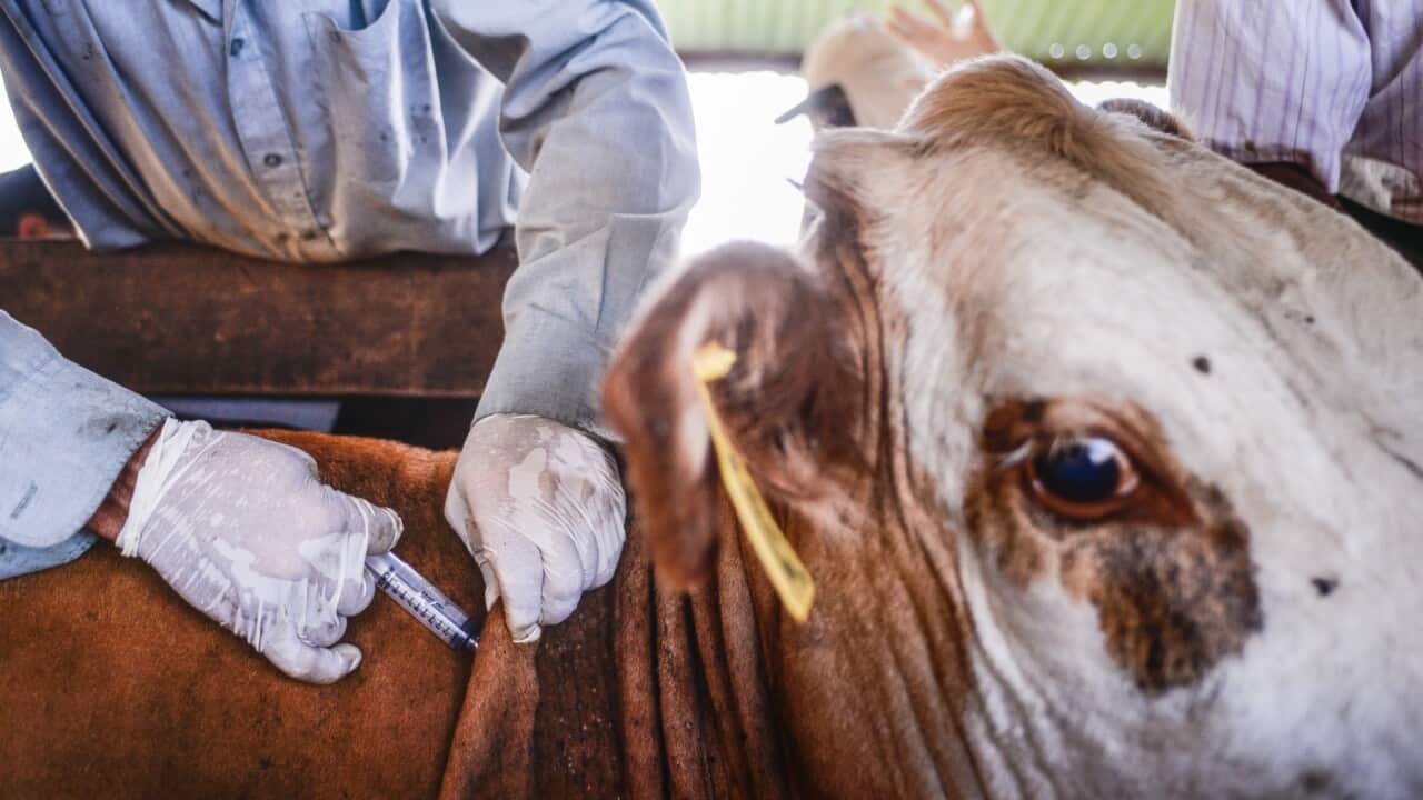 Image for read more article ''