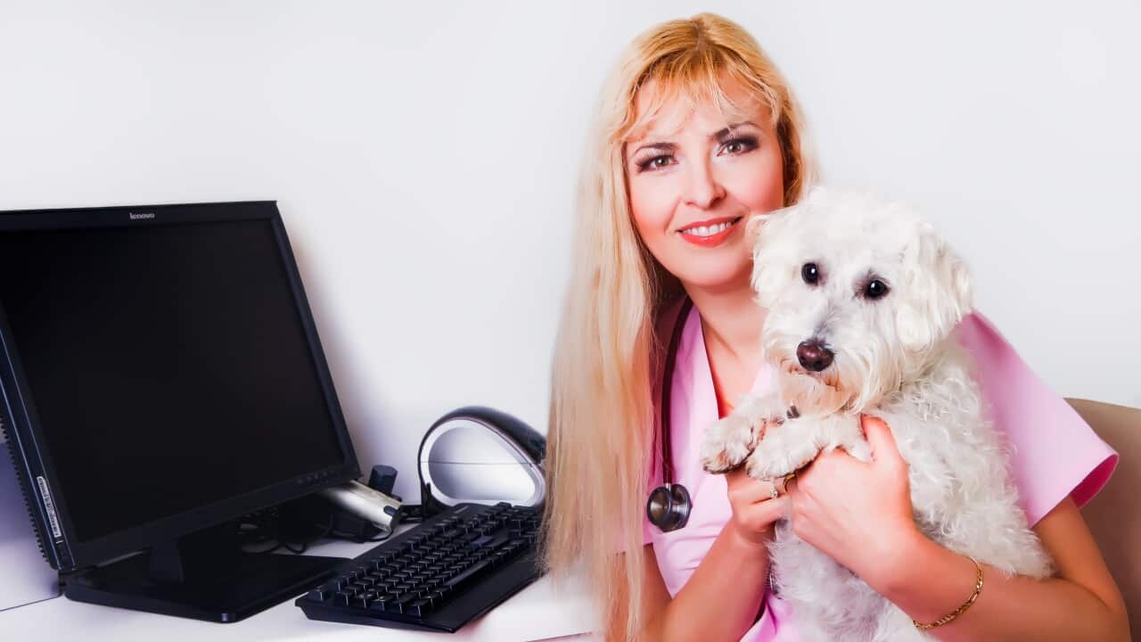 Veterinarian Nonna Green